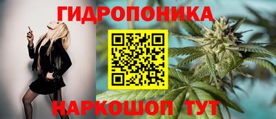 таблы Краснознаменск
