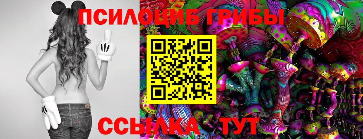 Псилоцибиновые грибы Psilocybine cubensis  Вход с VPN  Карталы 